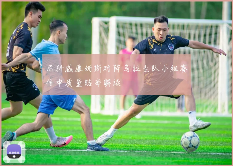 尼科威廉姆斯对阵乌拉圭队小组赛传中质量赔率解读