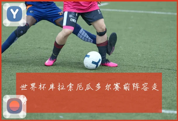世界杯库拉索厄瓜多尔赛前阵容走势