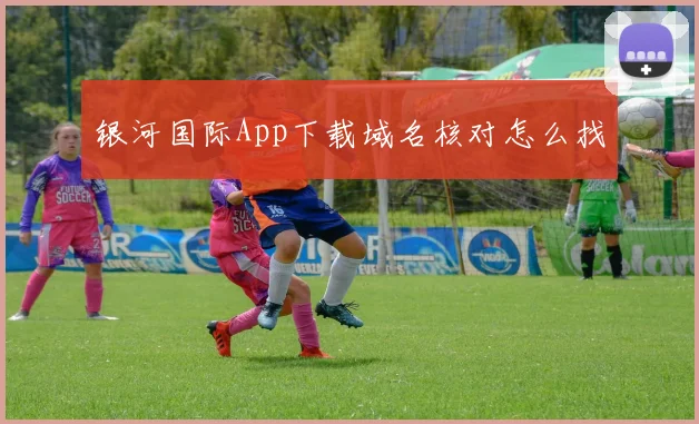 银河国际App下载域名核对怎么找
