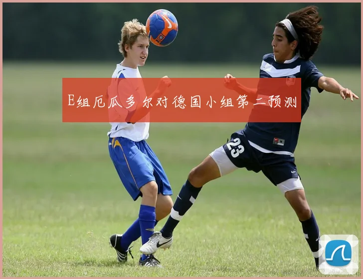 E组厄瓜多尔对德国小组第二预测