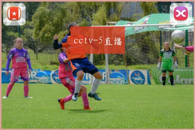 cctv-5直播