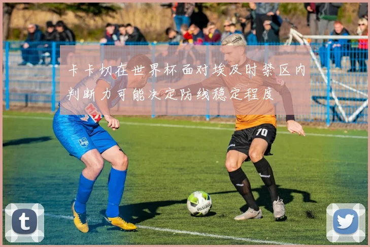 卡卡切在世界杯面对埃及时禁区内判断力可能决定防线稳定程度